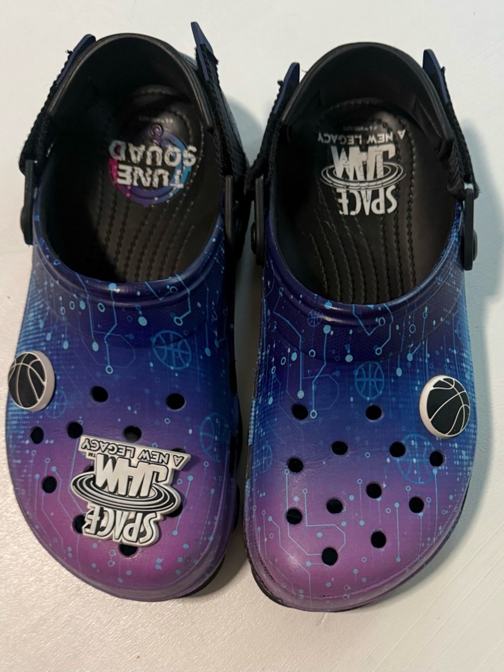 Space Jam  Purple Blue Crocs Shoes